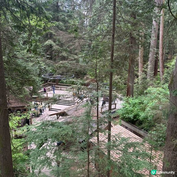 吊橋搖搖晃晃！溫哥華必去🤩！🌳