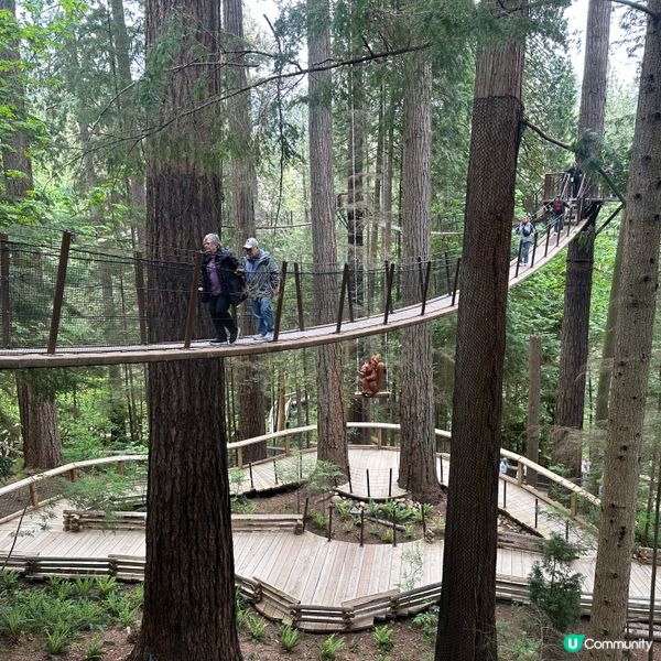 吊橋搖搖晃晃！溫哥華必去🤩！🌳