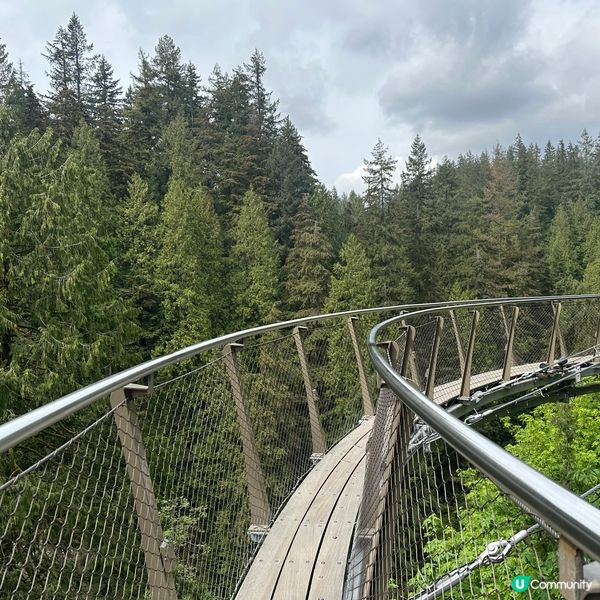 吊橋搖搖晃晃！溫哥華必去🤩！🌳