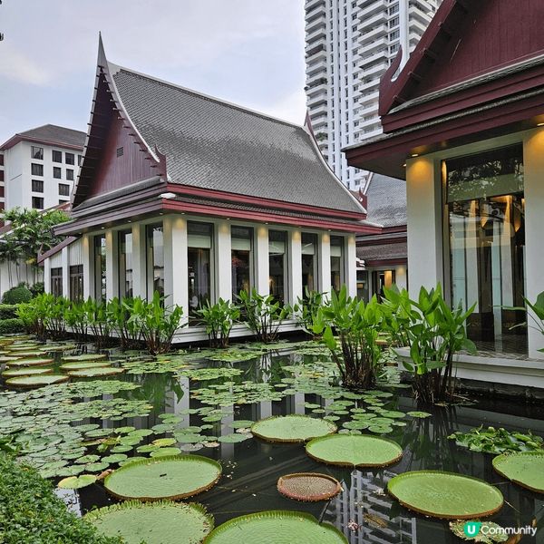 泰國曼谷素可泰酒店內的Celadon泰菜餐廳，不單美食吸引，...