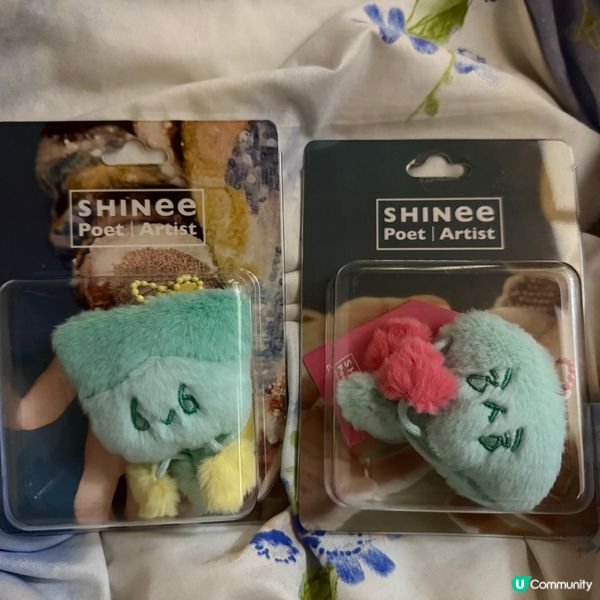 SHINee公仔ver專輯🥰