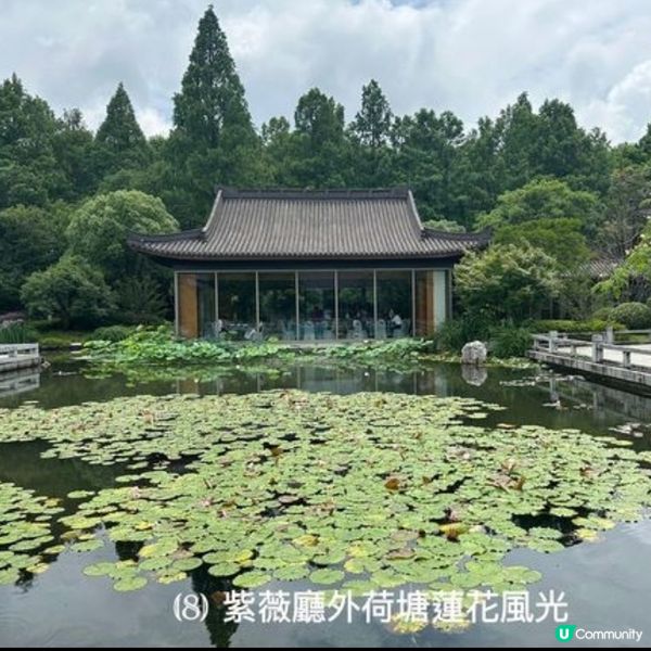 杭州米芝蓮美食新發現