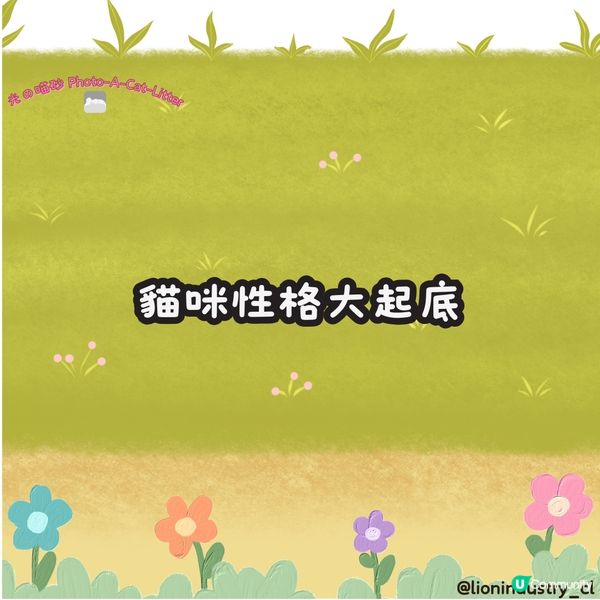 #光の喵砂#Photo-CAT-a-LITTER#貓砂#豆腐...