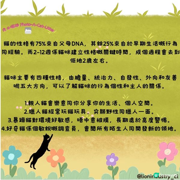 #光の喵砂#Photo-CAT-a-LITTER#貓砂#豆腐...