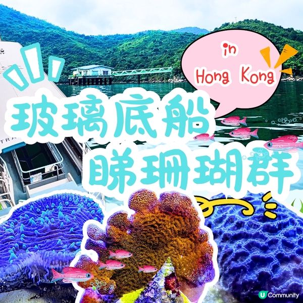 🔥海下灣珊瑚遊‼️🌊 探索海底世界‼️🐠