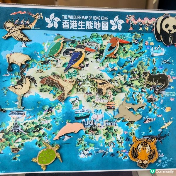 🔥海下灣珊瑚遊‼️🌊 探索海底世界‼️🐠