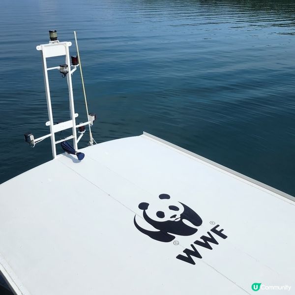 🔥海下灣珊瑚遊‼️🌊 探索海底世界‼️🐠