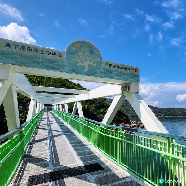 🔥海下灣珊瑚遊‼️🌊 探索海底世界‼️🐠