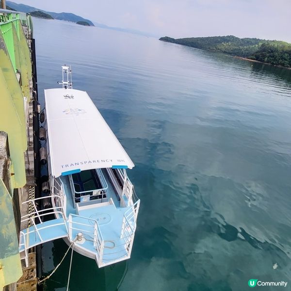 🔥海下灣珊瑚遊‼️🌊 探索海底世界‼️🐠