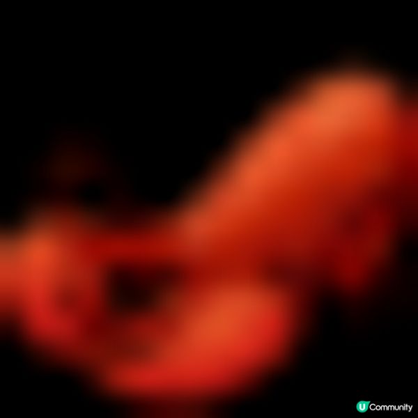 尖沙咀 ︳實現海鮮自由帝王夢