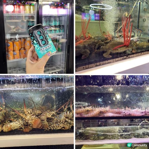 尖沙咀 ︳實現海鮮自由帝王夢