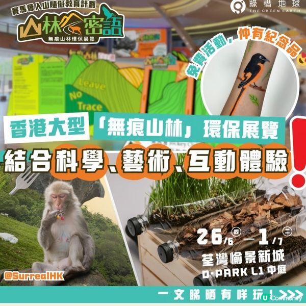 山林密語