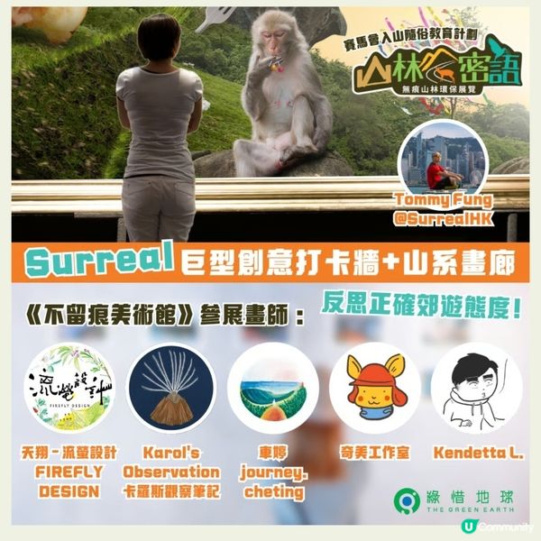 山林密語