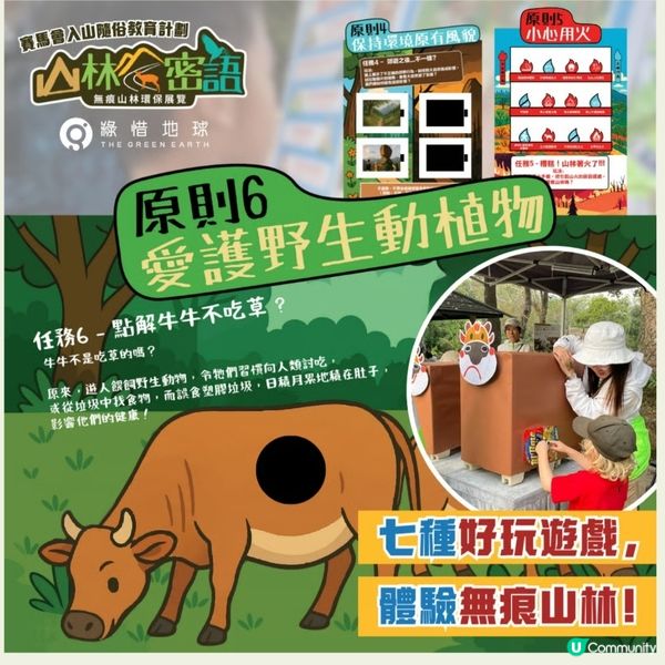 山林密語