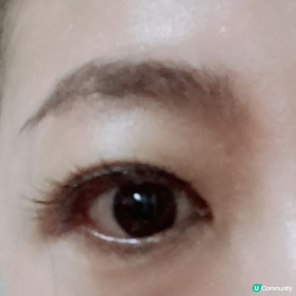 $75 假睫毛分享！自然放大雙眼👀✨