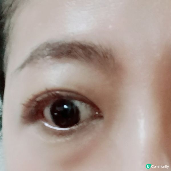 $75 假睫毛分享！自然放大雙眼👀✨