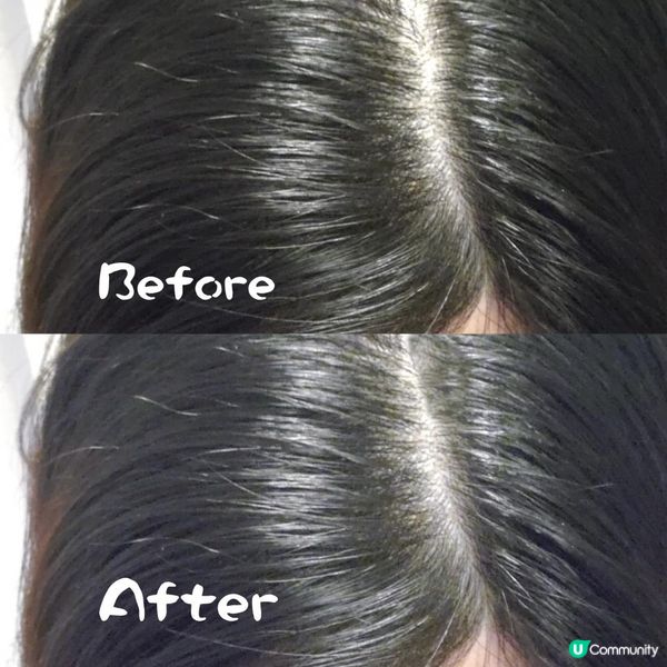 Wholelove Hair 活髮系