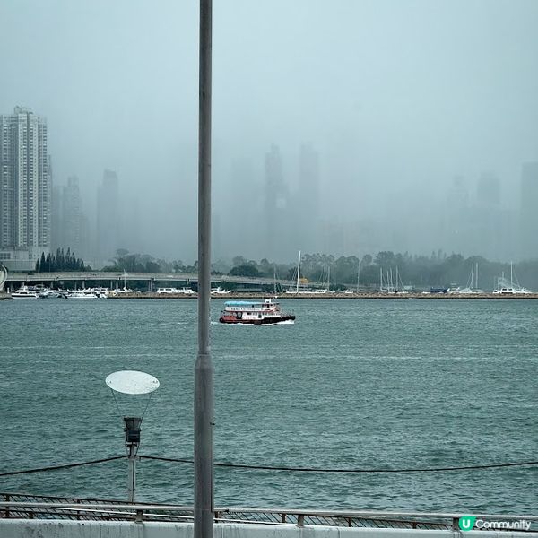 再續開心果緣@The MISTRAL