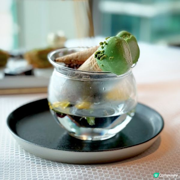 再續開心果緣@The MISTRAL