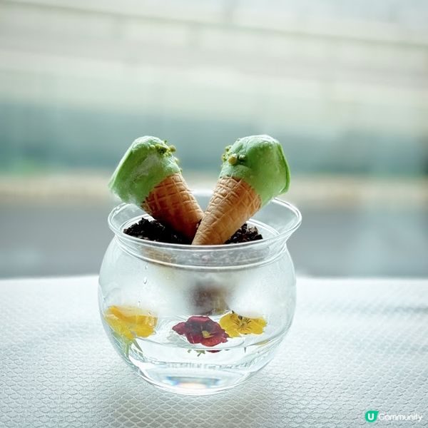 再續開心果緣@The MISTRAL