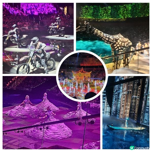 🐳2日1夜跟團睇「水舞間」值唔值⁉️🤔 睇完話你知‼️