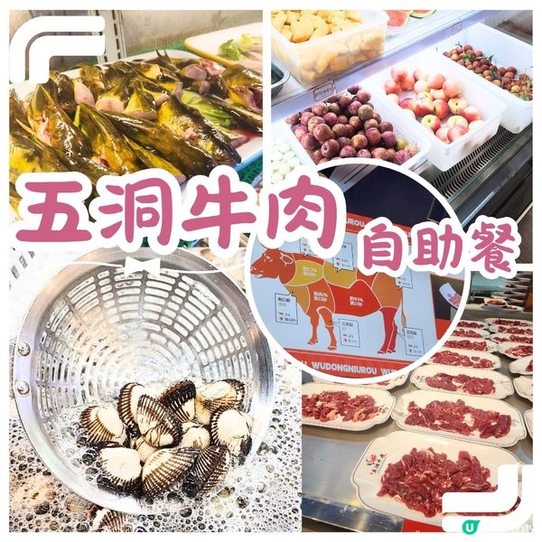 🐳2日1夜跟團睇「水舞間」值唔值⁉️🤔 睇完話你知‼️