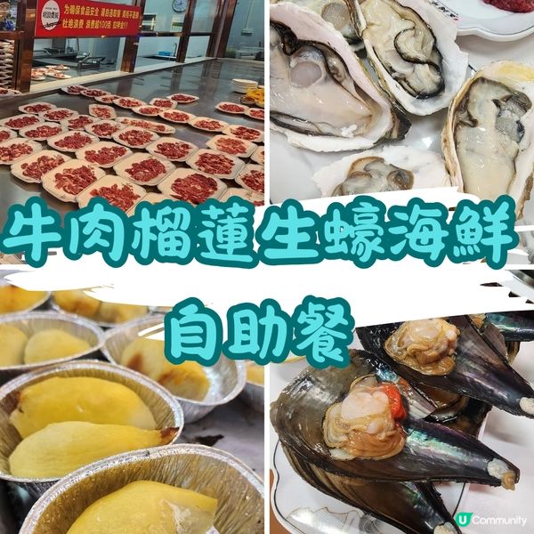 🐳2日1夜跟團睇「水舞間」值唔值⁉️🤔 睇完話你知‼️