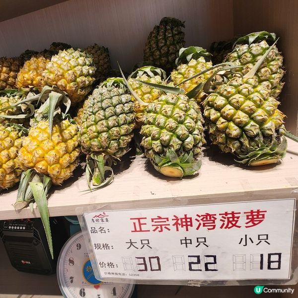 🐳2日1夜跟團睇「水舞間」值唔值⁉️🤔 睇完話你知‼️