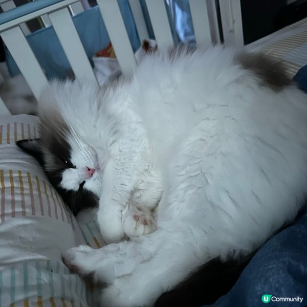 係咪對得耐就會。。。。