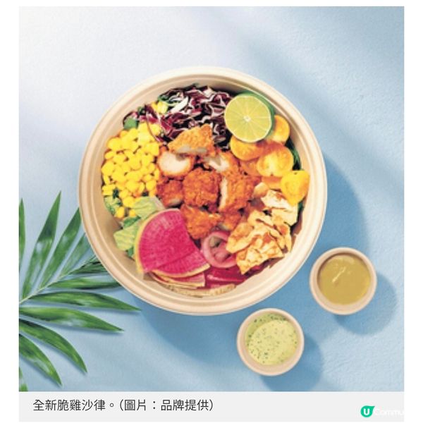 Shake Shack期間限定新品 全新脆雞沙律杜拜朱古力開