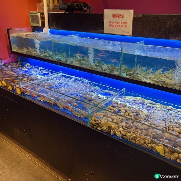 即撈海鮮火鍋店🍲