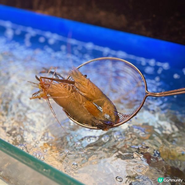 即撈海鮮火鍋店🍲