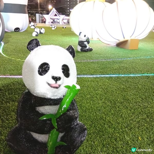 慶回歸展覽，維園打卡📸！文化+創科，熊貓勁可愛🐼