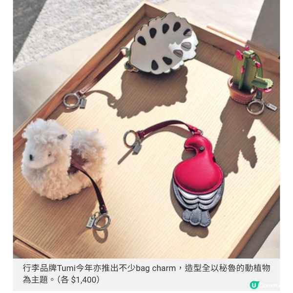 療癒系的Bag Charm