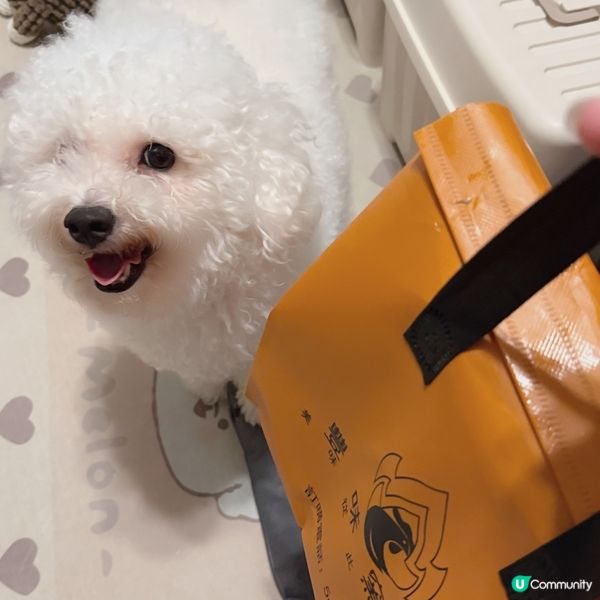 香港人嘅雞癡日常🐔！觀塘必食窯雞🤤！ #無雞不歡