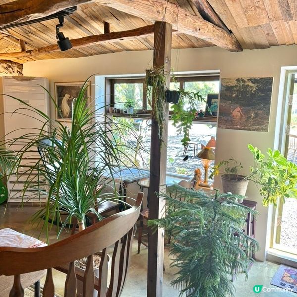 🇰🇷濟州島治癒系Cafe｜陽光＋草地＋咖啡香＝完美慢活午後🌿