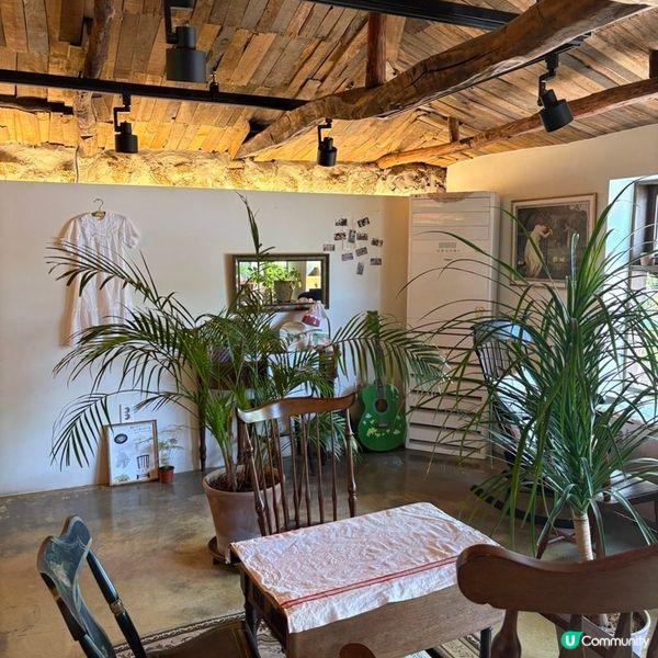 🇰🇷濟州島治癒系Cafe｜陽光＋草地＋咖啡香＝完美慢活午後🌿