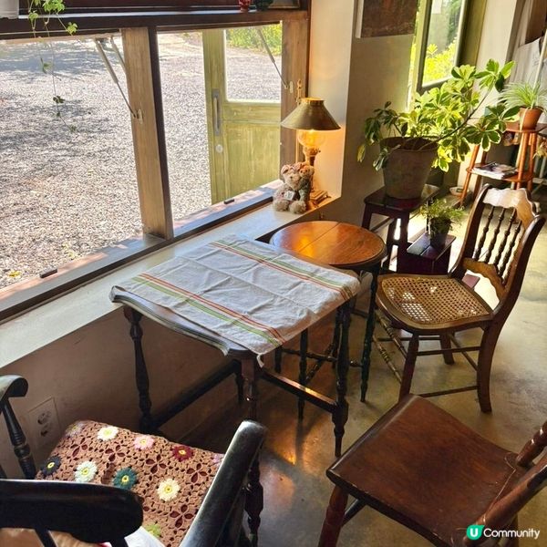 🇰🇷濟州島治癒系Cafe｜陽光＋草地＋咖啡香＝完美慢活午後🌿