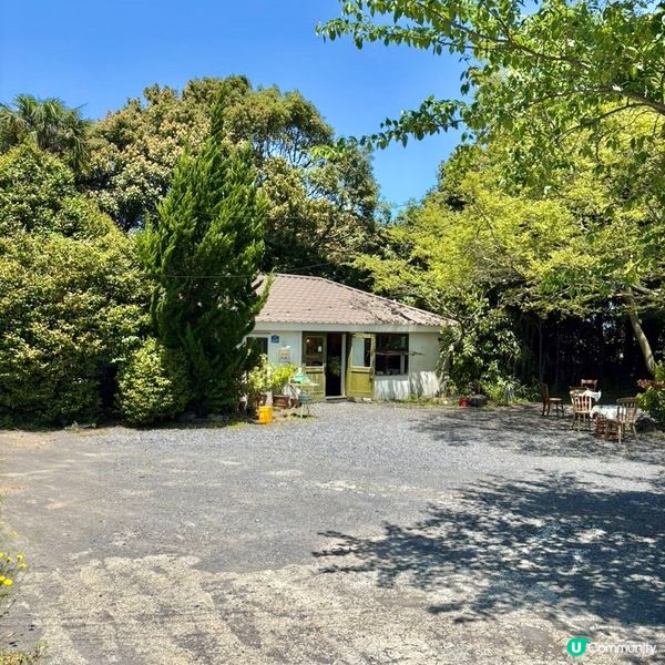 🇰🇷濟州島治癒系Cafe｜陽光＋草地＋咖啡香＝完美慢活午後🌿