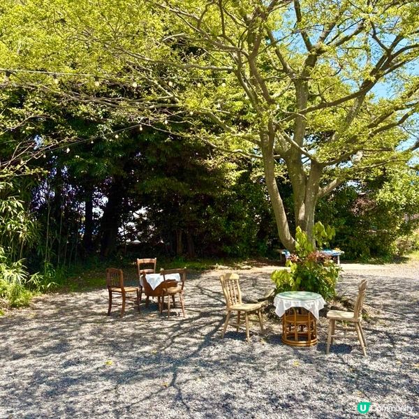 🇰🇷濟州島治癒系Cafe｜陽光＋草地＋咖啡香＝完美慢活午後🌿