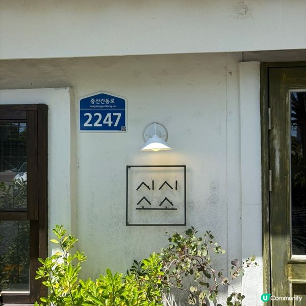 🇰🇷濟州島治癒系Cafe｜陽光＋草地＋咖啡香＝完美慢活午後🌿