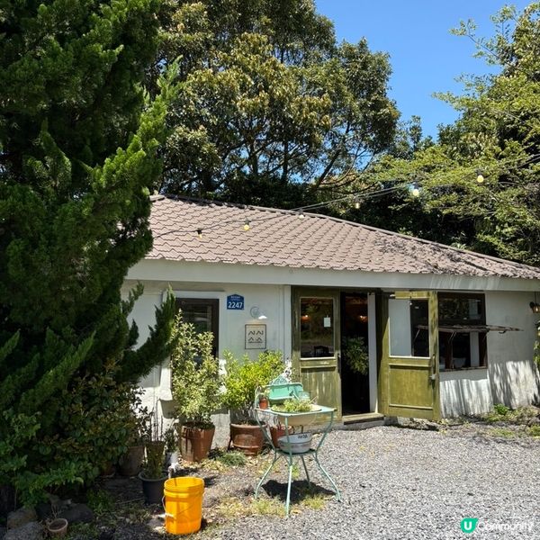 🇰🇷濟州島治癒系Cafe｜陽光＋草地＋咖啡香＝完美慢活午後🌿