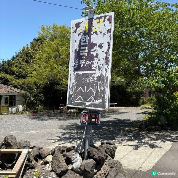 🇰🇷濟州島治癒系Cafe｜陽光＋草地＋咖啡香＝完美慢活午後🌿