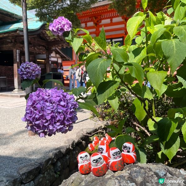 大阪好去處🇯🇵勝尾寺