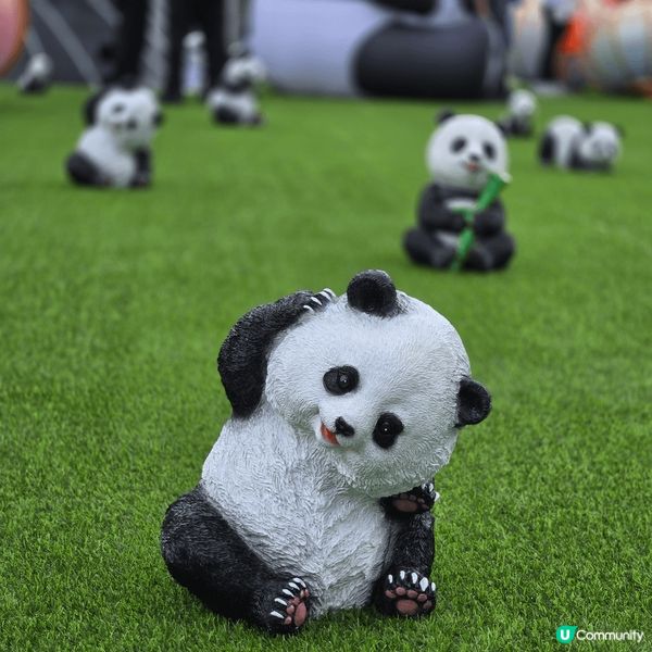 七月一日行左維多利亞公園，聚集了許多可愛的熊貓，慶祝香港回歸...