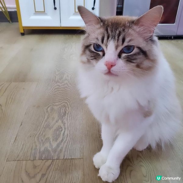 🌸 TSY Beauty｜專屬妳的夢幻美容時光 🌸