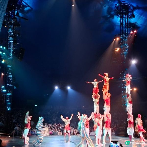 太陽馬戲團《KOOZA》🎪，一家大細必睇!