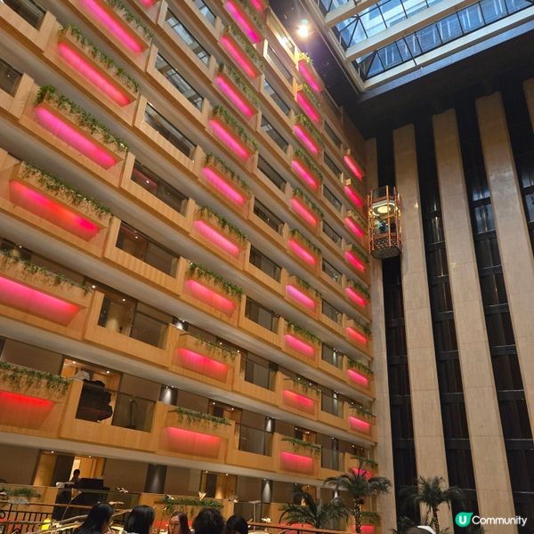 悠閒越式下午茶