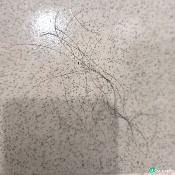 推介李錦記旗下--健康密密飲