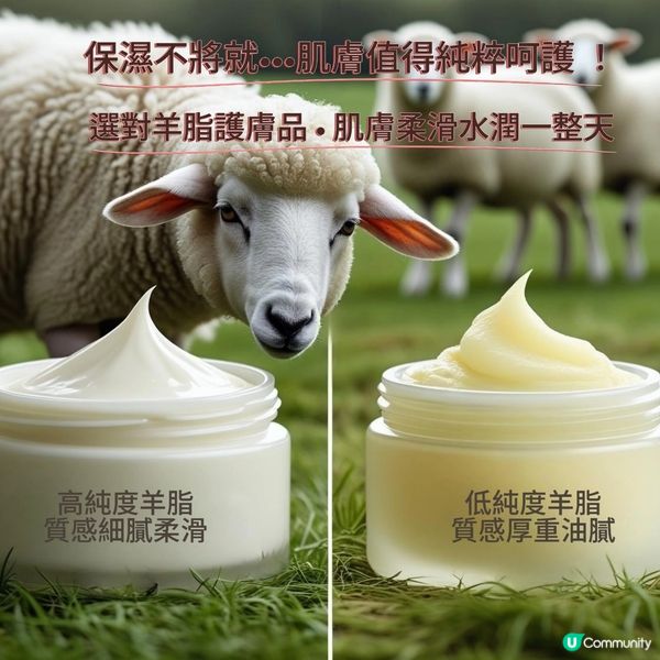 ✨ 避開購買陷阱，掌握正確挑選羊脂產品技巧！✨